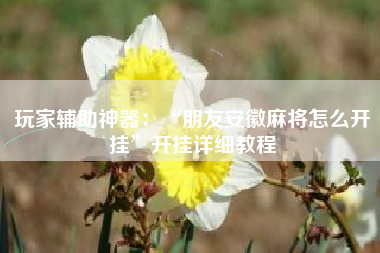 玩家辅助神器：“朋友安徽麻将怎么开挂”开挂详细教程