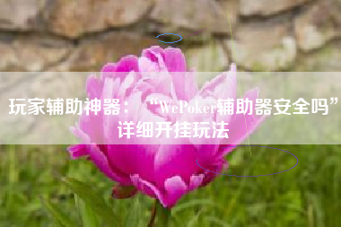 玩家辅助神器:“WePoker辅助器安全吗”详细开挂玩法 玩家辅助神器:“WePoker辅助器安全吗”详细开挂玩法