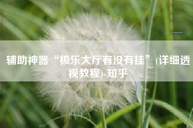 辅助神器“极乐大厅有没有挂”(详细透视教程)-知乎