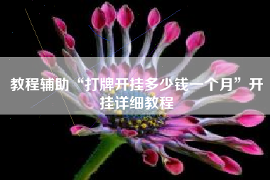 教程辅助“打牌开挂多少钱一个月”开挂详细教程