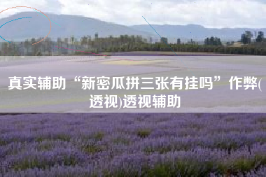 真实辅助“新密瓜拼三张有挂吗”作弊(透视)透视辅助