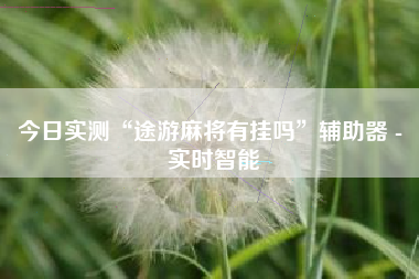 今日实测“途游麻将有挂吗”辅助器 - 实时智能 今日实测“途游麻将有挂吗”辅助器 - 实时智能