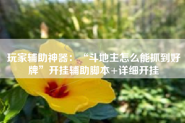 玩家辅助神器:“斗地主怎么能抓到好牌”开挂辅助脚本+详细开挂 玩家辅助神器:“斗地主怎么能抓到好牌”开挂辅助脚本+详细开挂