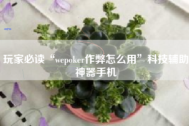 玩家必读“wepoker作弊怎么用”科技辅助神器手机