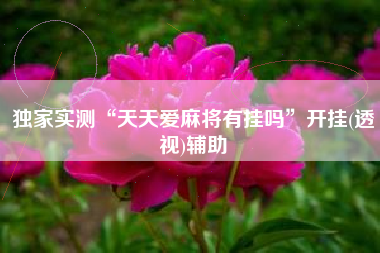 独家实测“天天爱麻将有挂吗”开挂(透视)辅助 独家实测“天天爱麻将有挂吗”开挂(透视)辅助