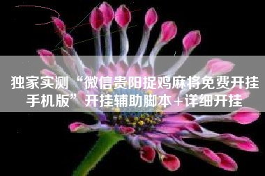 独家实测“微信贵阳捉鸡麻将免费开挂手机版”开挂辅助脚本+详细开挂