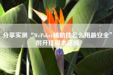 分享实测“WePoker辅助挂怎么用最安全”附开挂脚本详细