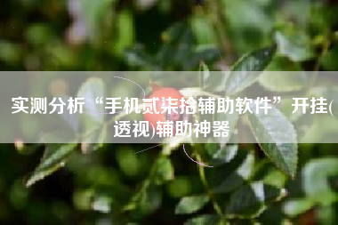 实测分析“手机贰柒拾辅助软件”开挂(透视)辅助神器