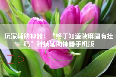 玩家辅助神器：“终于知道陕麻圈有挂吗”科技辅助神器手机版