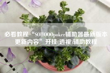 必看教程“SOHOOOpoker辅助器最新版本更新内容”开挂(透视)辅助教程