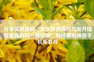 分享实测辅助“微乐陕西麻将万能开挂器是真的吗一键购买”科技辅助神器手机版教程