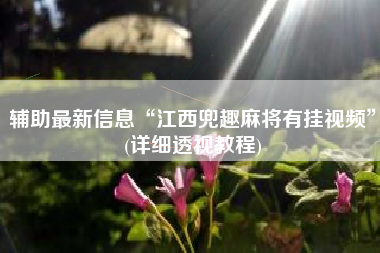 辅助最新信息“江西兜趣麻将有挂视频”(详细透视教程)