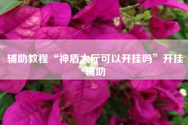 辅助教程“神盾大厅可以开挂吗”开挂辅助 辅助教程“神盾大厅可以开挂吗”开挂辅助