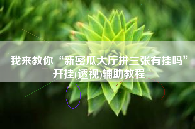 我来教你“新密瓜大厅拼三张有挂吗”开挂(透视)辅助教程 我来教你“新密瓜大厅拼三张有挂吗”开挂(透视)辅助教程