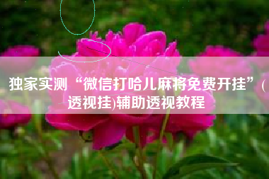 独家实测“微信打哈儿麻将免费开挂”(透视挂)辅助透视教程