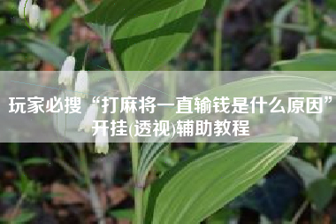 玩家必搜“打麻将一直输钱是什么原因”开挂(透视)辅助教程