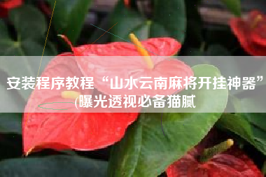 安装程序教程“山水云南麻将开挂神器”(曝光透视必备猫腻 安装程序教程“山水云南麻将开挂神器”(曝光透视必备猫腻