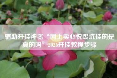 辅助开挂神器“网上卖心悦踢坑挂的是真的吗”2026开挂教程步骤 辅助开挂神器“网上卖心悦踢坑挂的是真的吗”2026开挂教程步骤