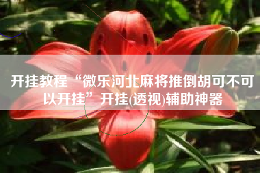 开挂教程“微乐河北麻将推倒胡可不可以开挂”开挂(透视)辅助神器