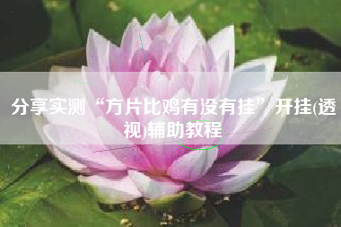 分享实测“方片比鸡有没有挂”开挂(透视)辅助教程 分享实测“方片比鸡有没有挂”开挂(透视)辅助教程