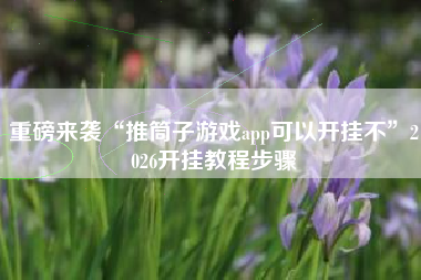 重磅来袭“推筒子游戏app可以开挂不”2026开挂教程步骤