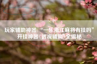 玩家辅助神器:“一乐浙江麻将有挂吗”开挂神器{透视辅助}全揭秘