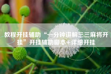 教程开挂辅助“一分钟讲解三三麻将开挂”开挂辅助脚本+详细开挂