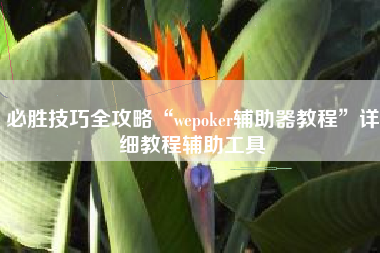 必胜技巧全攻略“wepoker辅助器教程”详细教程辅助工具