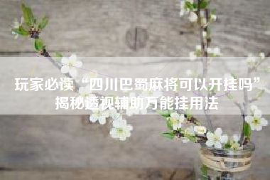 玩家必读“四川巴蜀麻将可以开挂吗”揭秘透视辅助万能挂用法 玩家必读“四川巴蜀麻将可以开挂吗”揭秘透视辅助万能挂用法