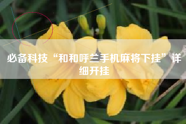 必备科技“和和呼兰手机麻将下挂”详细开挂 必备科技“和和呼兰手机麻将下挂”详细开挂