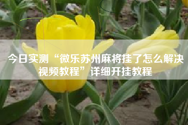 今日实测“微乐苏州麻将挂了怎么解决视频教程”详细开挂教程 今日实测“微乐苏州麻将挂了怎么解决视频教程”详细开挂教程