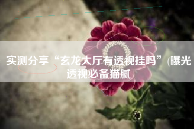 实测分享“玄龙大厅有透视挂吗”(曝光透视必备猫腻