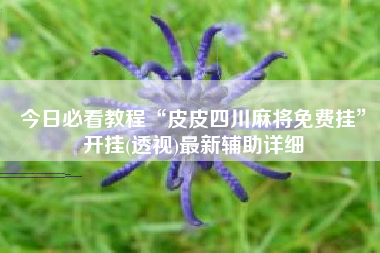 今日必看教程“皮皮四川麻将免费挂”开挂(透视)最新辅助详细