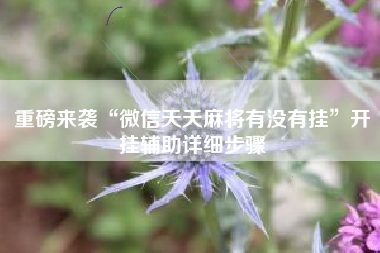 重磅来袭“微信天天麻将有没有挂”开挂辅助详细步骤 重磅来袭“微信天天麻将有没有挂”开挂辅助详细步骤