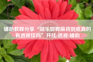 辅助教程分享“胡乐邯郸麻将到底真的有透视挂吗”开挂(透视)辅助 辅助教程分享“胡乐邯郸麻将到底真的有透视挂吗”开挂(透视)辅助