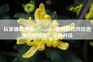 玩家辅助神器:“wepoker德州游戏开挂透视作弊软件”详细开挂 玩家辅助神器:“wepoker德州游戏开挂透视作弊软件”详细开挂