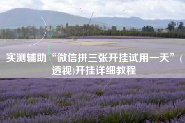 实测辅助“微信拼三张开挂试用一天”(透视)开挂详细教程 实测辅助“微信拼三张开挂试用一天”(透视)开挂详细教程