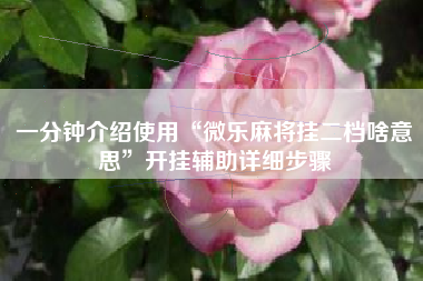 一分钟介绍使用“微乐麻将挂二档啥意思”开挂辅助详细步骤