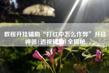 教程开挂辅助“打红中怎么作弊”开挂神器{透视辅助}全揭秘