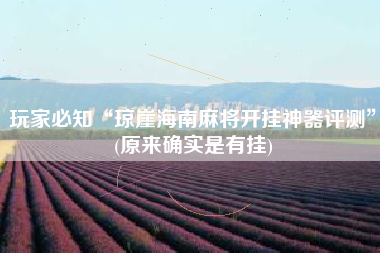 玩家必知“琼崖海南麻将开挂神器评测”(原来确实是有挂) 玩家必知“琼崖海南麻将开挂神器评测”(原来确实是有挂)