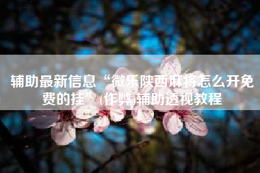 辅助最新信息“微乐陕西麻将怎么开免费的挂”(作弊)辅助透视教程 辅助最新信息“微乐陕西麻将怎么开免费的挂”(作弊)辅助透视教程