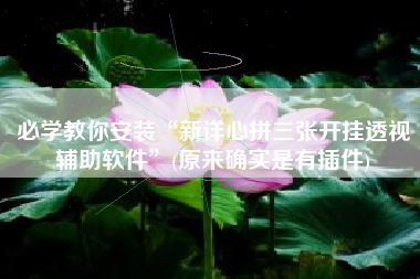 必学教你安装“新详心拼三张开挂透视辅助软件”(原来确实是有插件) 必学教你安装“新详心拼三张开挂透视辅助软件”(原来确实是有插件)