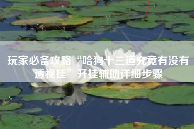 玩家必备攻略“哈狗十三道究竟有没有透视挂”开挂辅助详细步骤