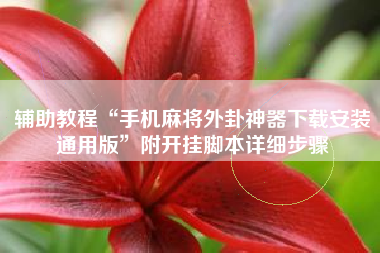 辅助教程“手机麻将外卦神器下载安装通用版”附开挂脚本详细步骤 辅助教程“手机麻将外卦神器下载安装通用版”附开挂脚本详细步骤