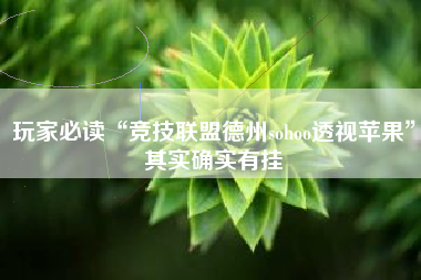 玩家必读“竞技联盟德州sohoo透视苹果”其实确实有挂