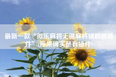 最新一款“微乐麻将无锡麻将辅助器插件”(原来确实是有插件)