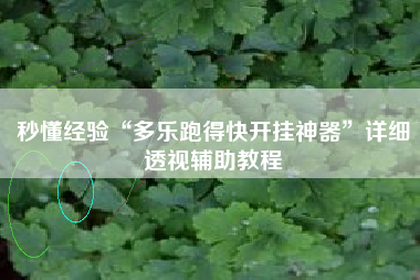 秒懂经验“多乐跑得快开挂神器”详细透视辅助教程