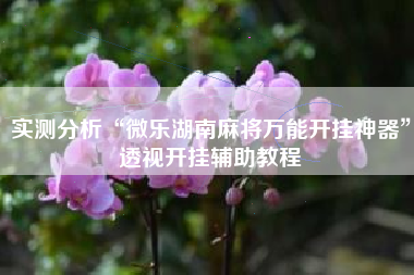 实测分析“微乐湖南麻将万能开挂神器”透视开挂辅助教程