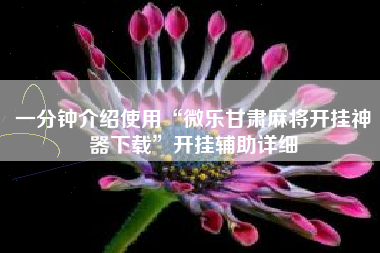 一分钟介绍使用“微乐甘肃麻将开挂神器下载”开挂辅助详细 一分钟介绍使用“微乐甘肃麻将开挂神器下载”开挂辅助详细