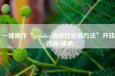 一键操作“wepoker透视挂安装方法”开挂(透视)辅助 一键操作“wepoker透视挂安装方法”开挂(透视)辅助